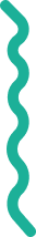 Image shape